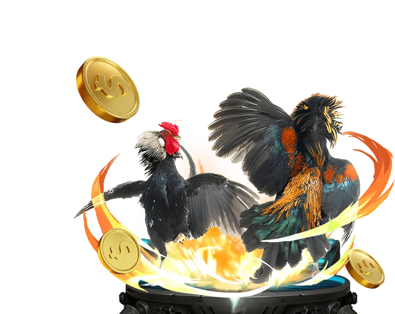 Hướng dẫn đăng ký, nạp tiền và đặt cược đá gà tại XIN88