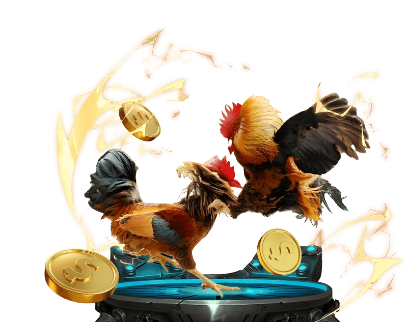 Khuyến Mãi Hàng Ngày XIN88